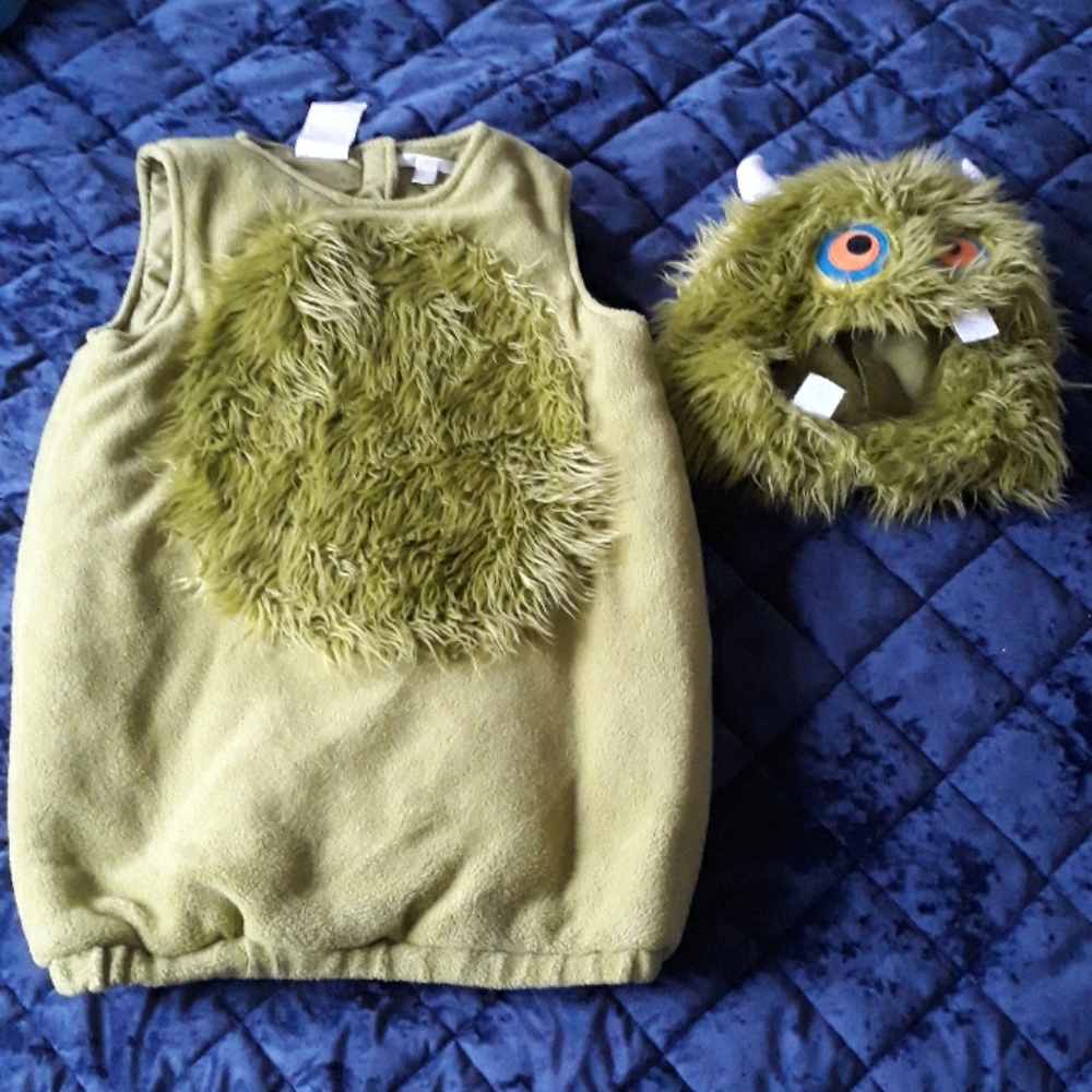 Pottery Barn Kids Green Monster Costume